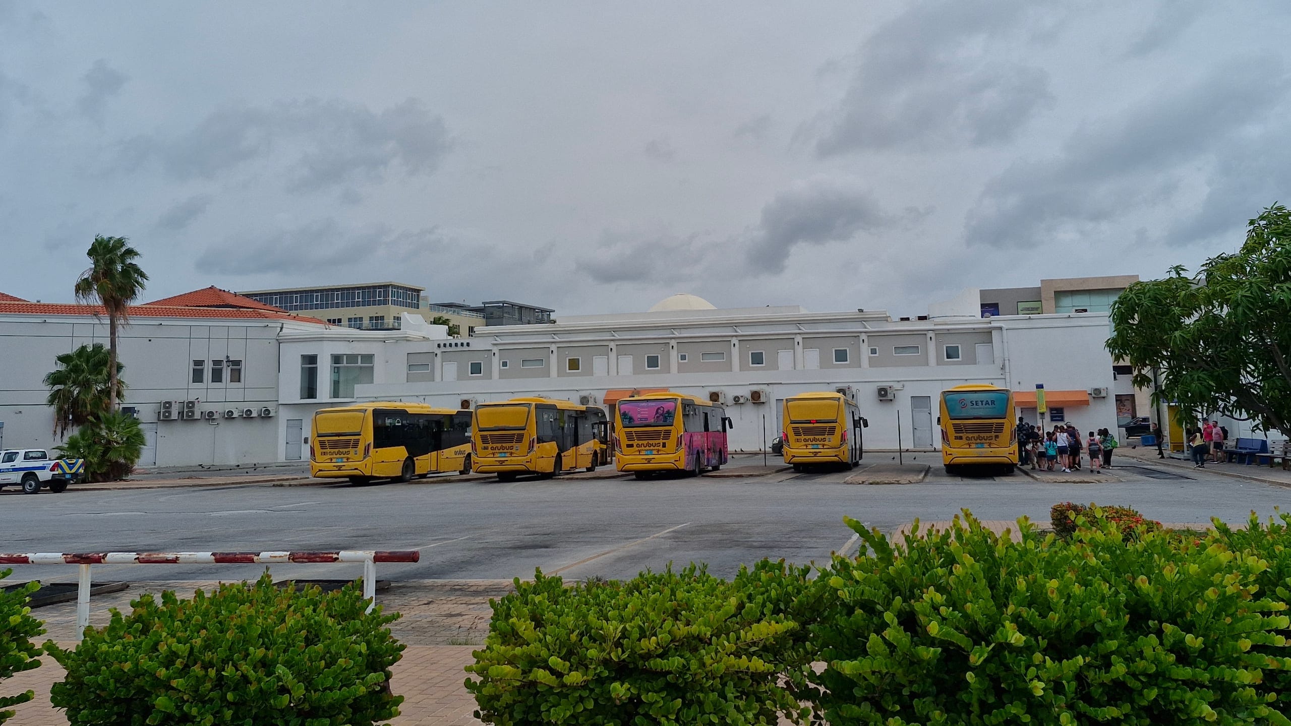 Yellow Arubus buses lined up at the Oranjestad bus terminal under a grey sky