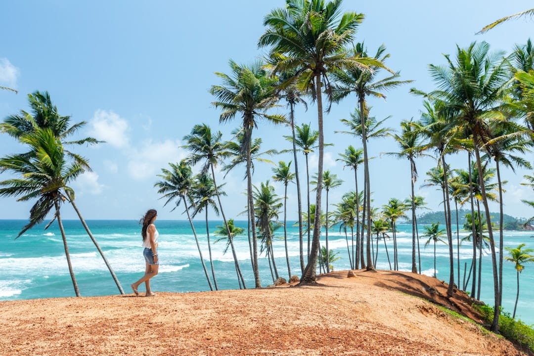 A woman walking alone under a row of tall coconut palms on a beach in Sri Lanka, above breaking surf