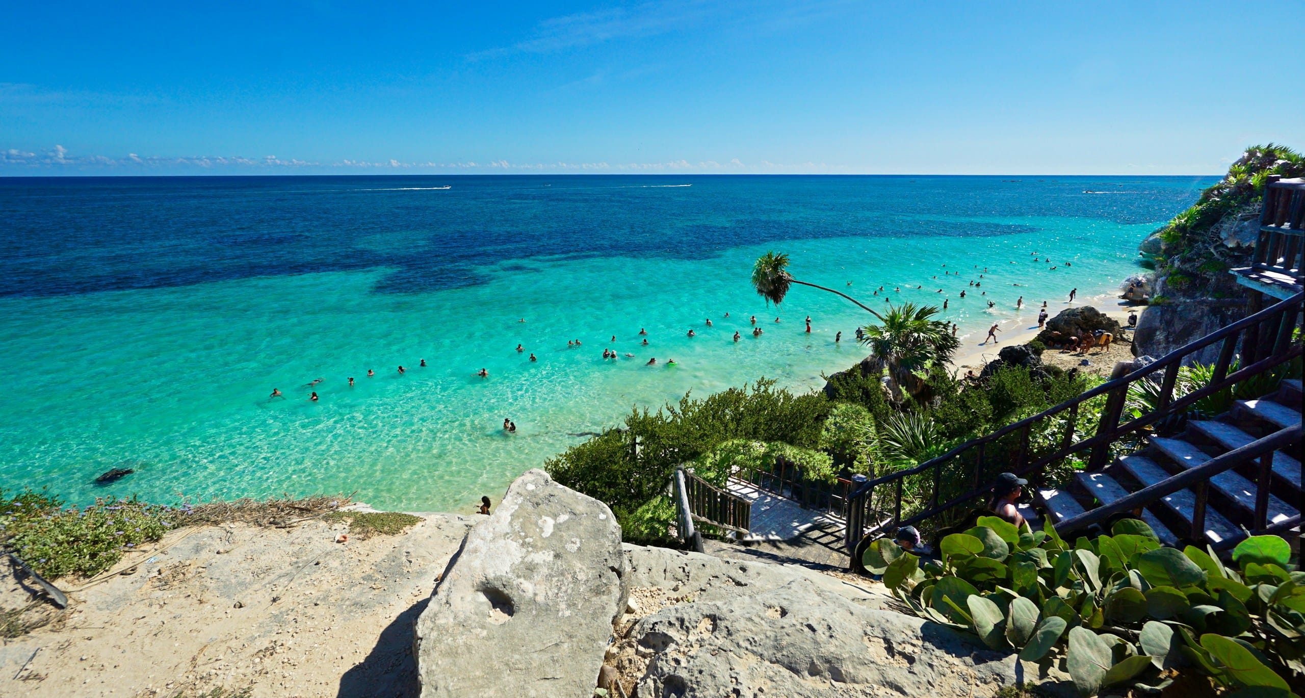 The cove below the Tulum ruins, with a leaning palm over the shallows