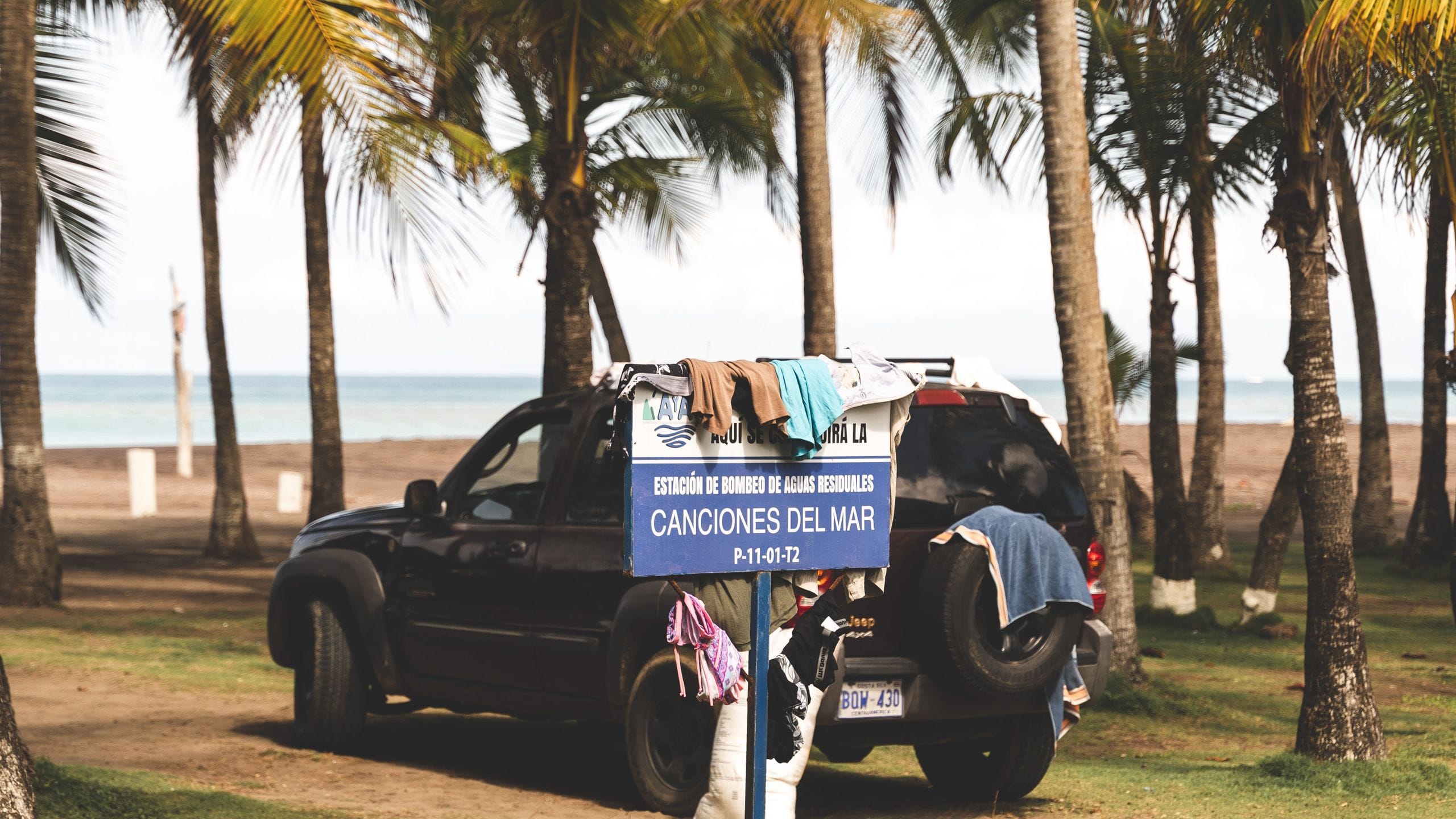 A dusty four wheel drive parked among coconut palms at the edge of a beach
