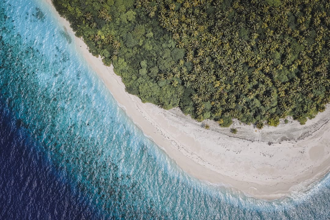 A white sand beach on Holhudhoo in the Maldives edging dense tropical forest, the water shading from pale sand to deep blue, seen from above