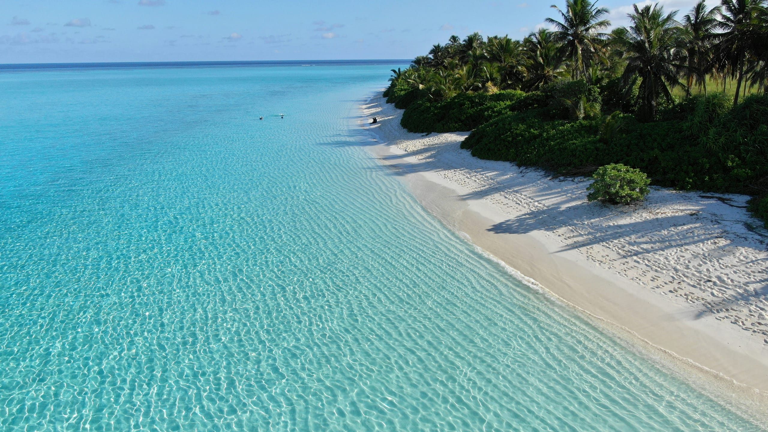 A curving white beach on Thoddoo in the Maldives backed by palms, sunlight rippling across clear shallow water in the foreground