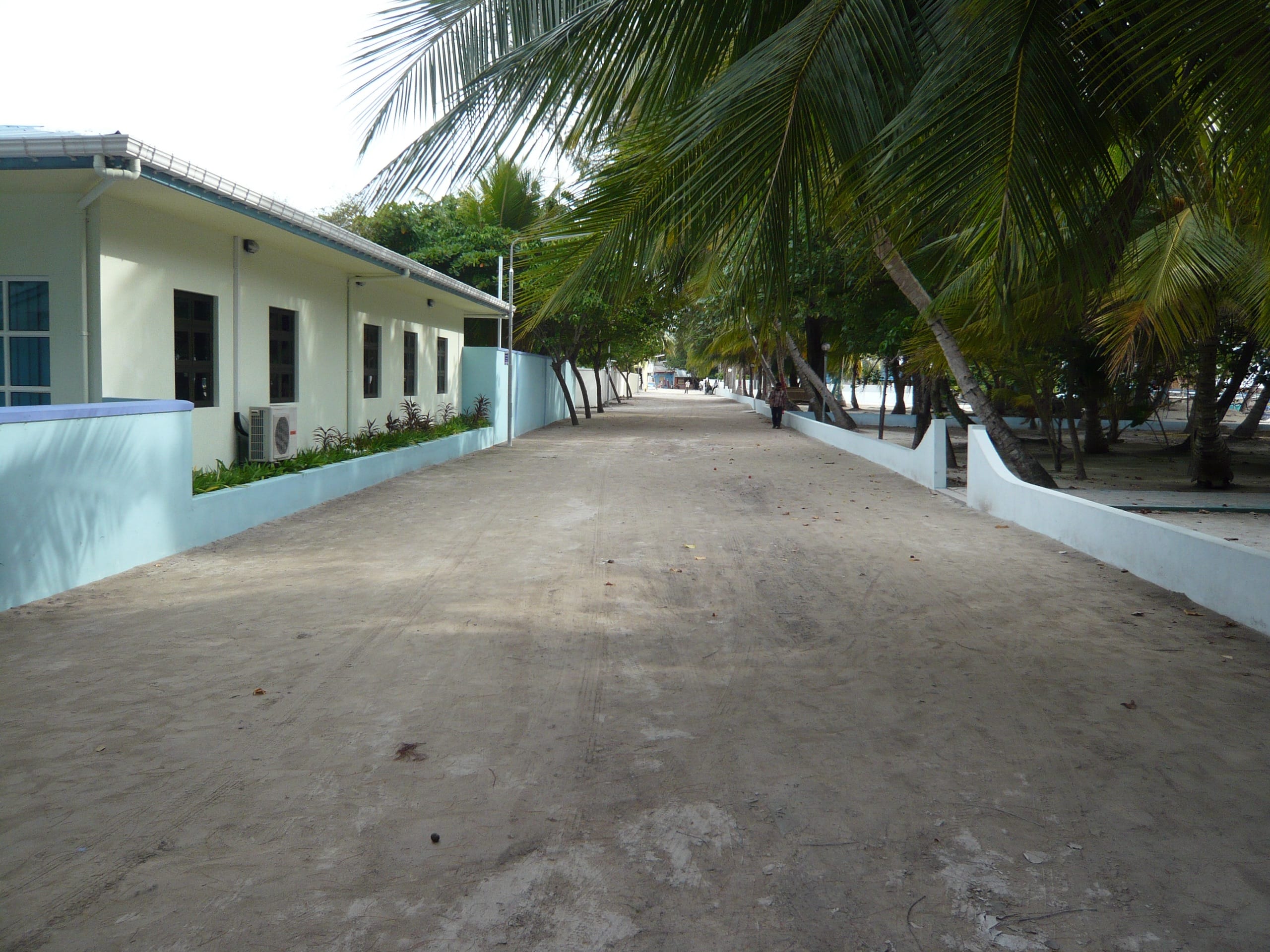 A wide sand lane on Rasdhoo running between a white building and leaning coconut palms