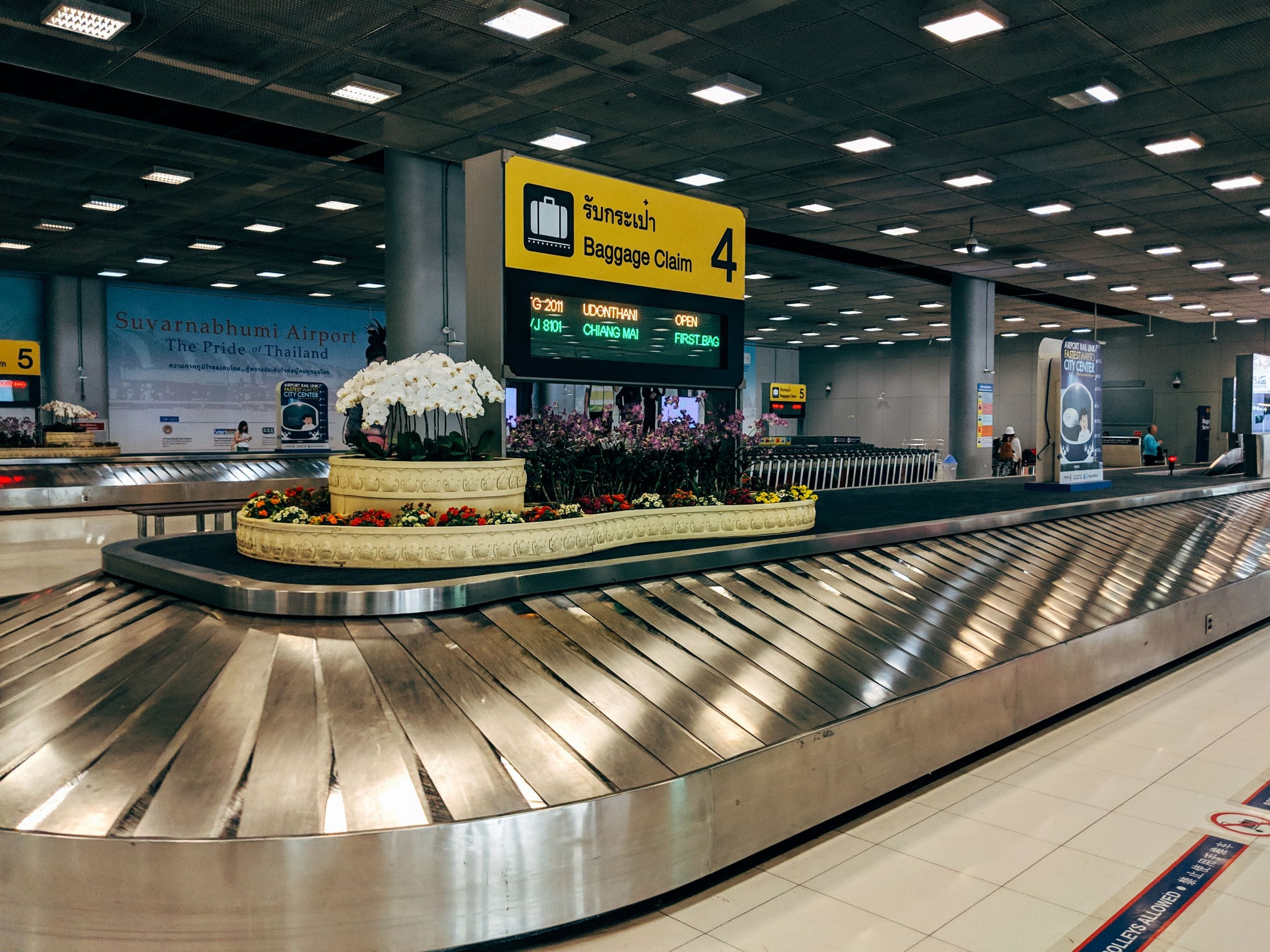 An empty airport baggage carousel under a yellow Baggage Claim 4 sign, potted orchids in the middle