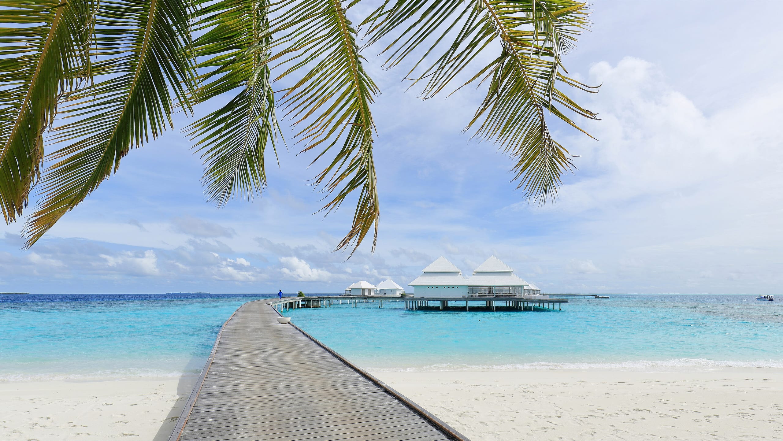 A wooden jetty running out to the water villas at Thudufushi, Ari Atoll, under a palm frond
