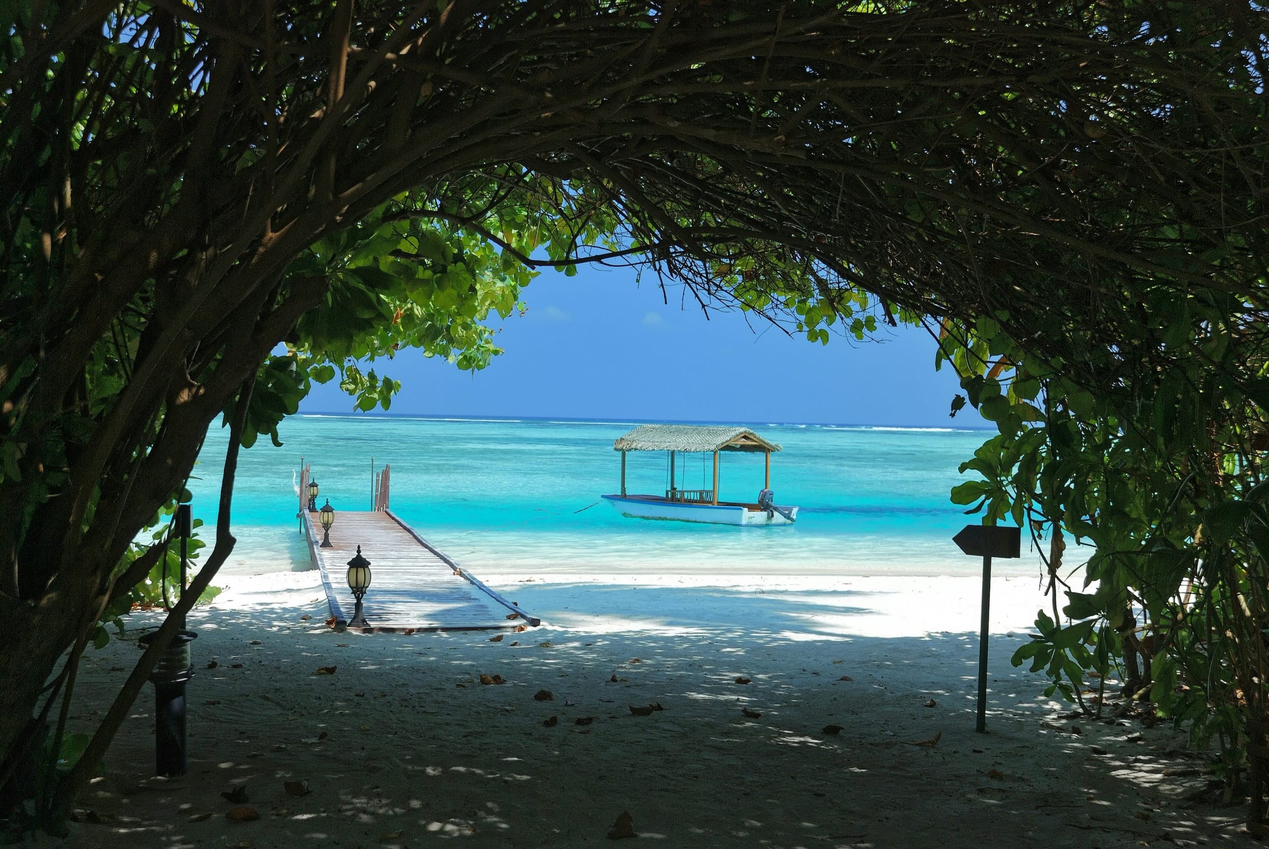A jetty and thatched pavilion seen through an arch of beach trees from the sand