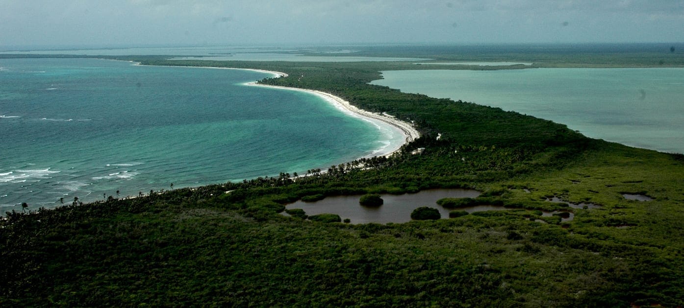 A white sandbar curving out between deep green forest and turquoise water, from the air