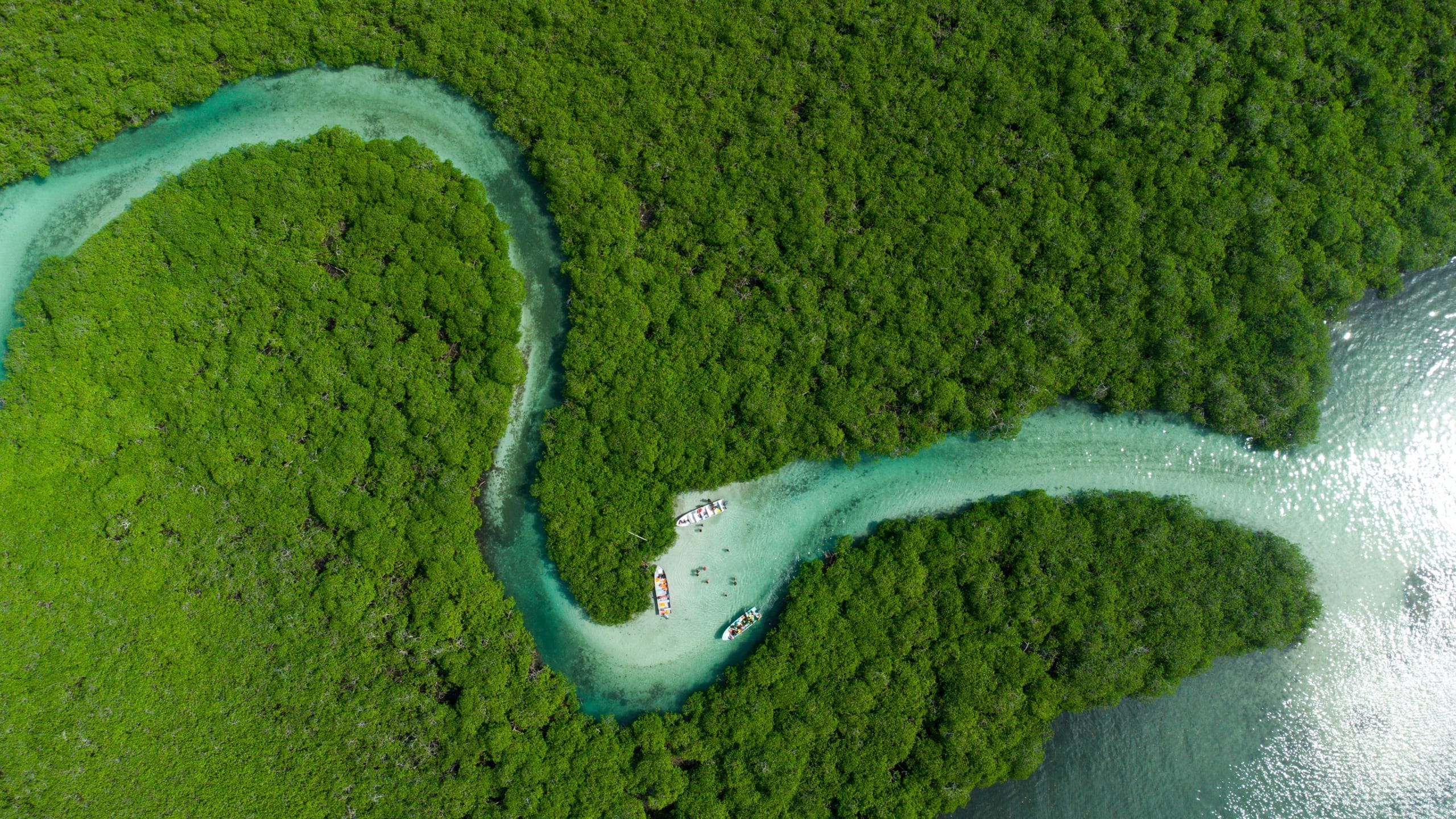 Straight down on a narrow channel winding through dense mangrove forest with two small boats moored in the shallows