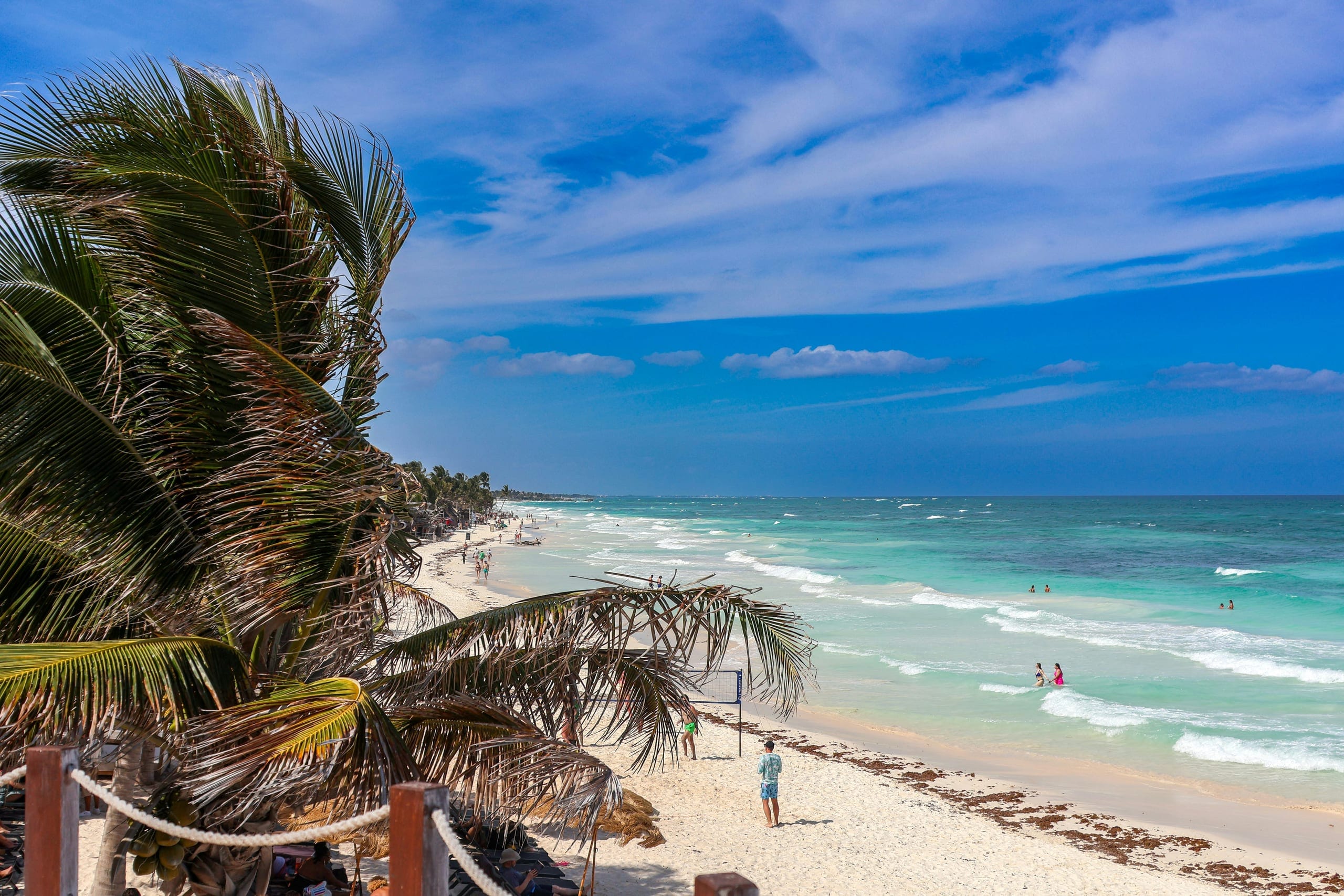People standing and swimming in clear shallow water off a long pale beach, palms leaning in from the left